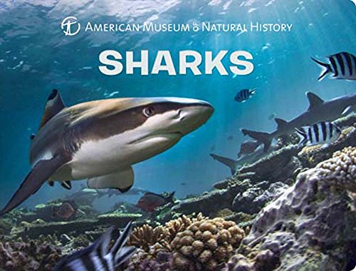 Sharks (Science for Toddlers) von Sterling Children's Books